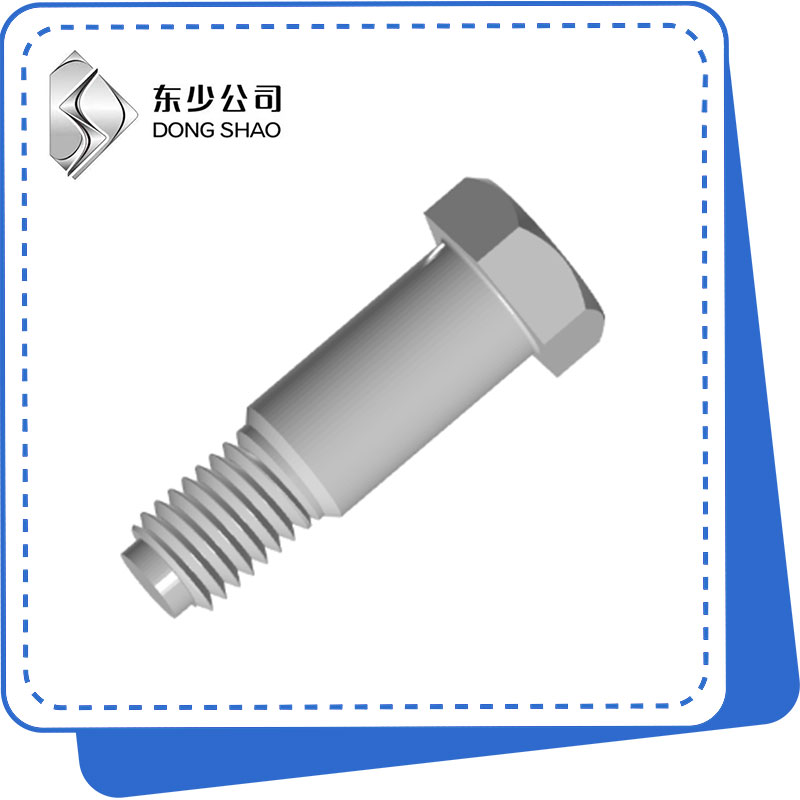 六角頭帶孔螺栓